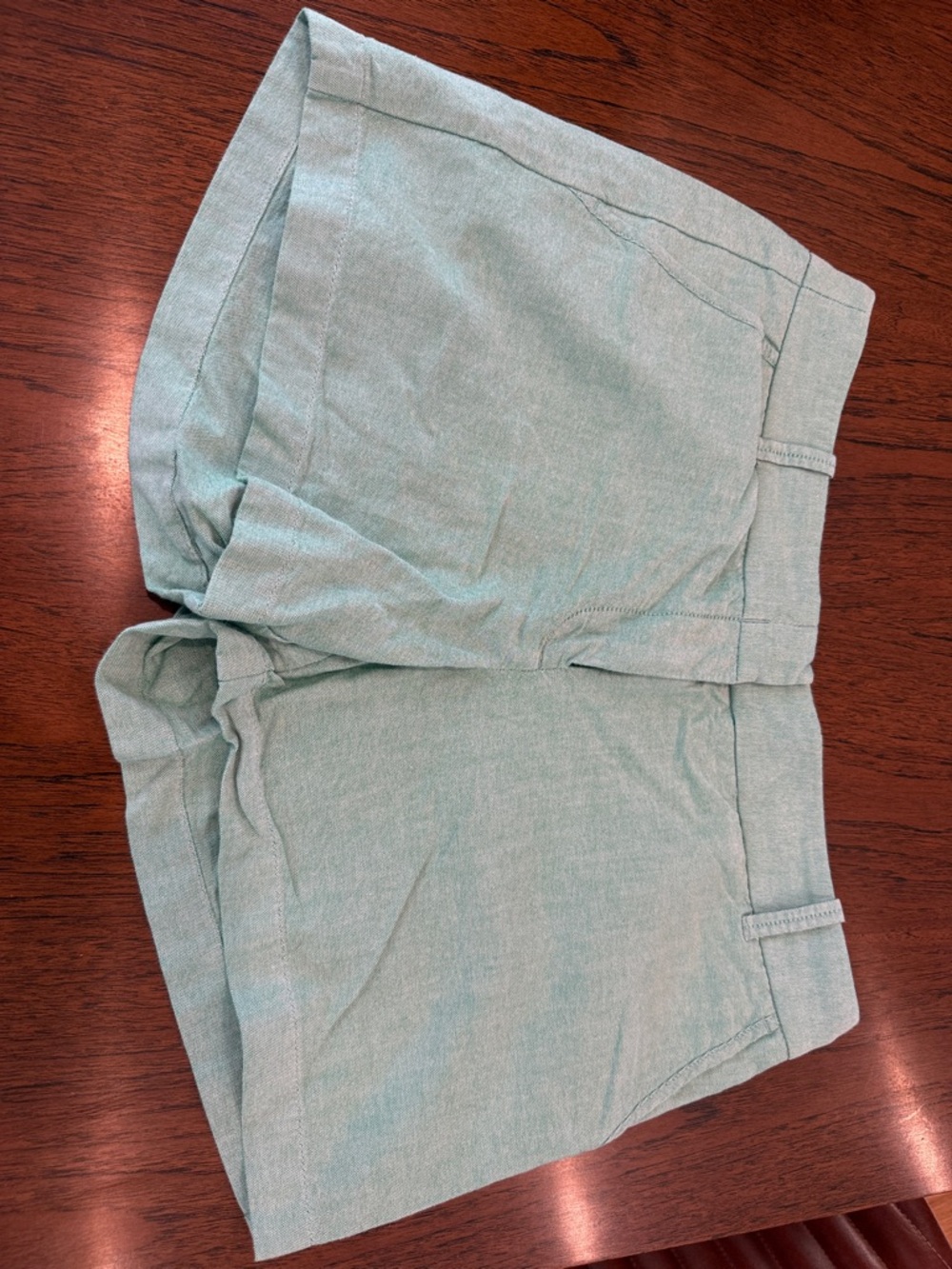 Casual Women's Light Green Shorts